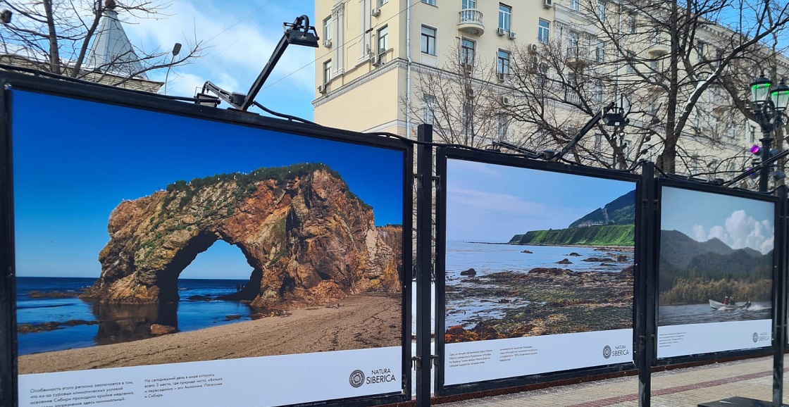 Проведение фотовыставок на уличных площадках Москвы