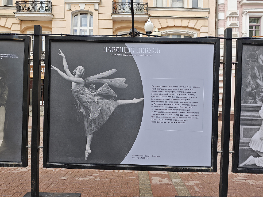 Уличная выставка «Парящий лебедь. К 145-летию со дня рождения Анны Павловой»