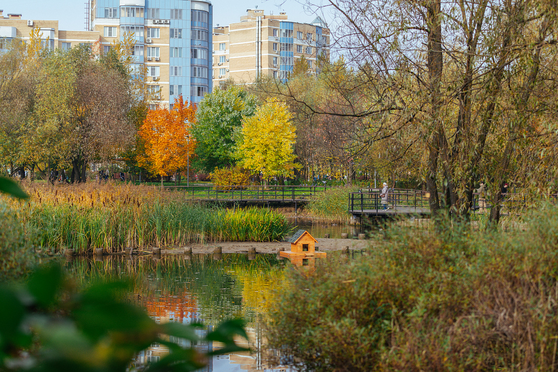 В Москве начался фотоконкурс «Район глазами жителя»
