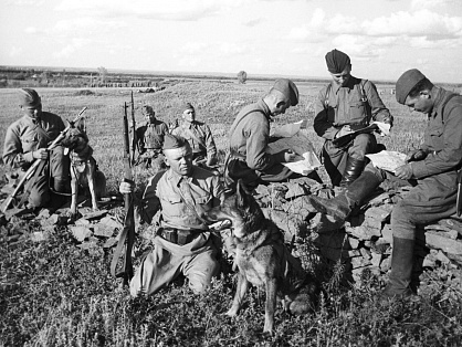 Храбрость без слов: на Цветном бульваре открылась фотовыставка  о животных-фронтовиках