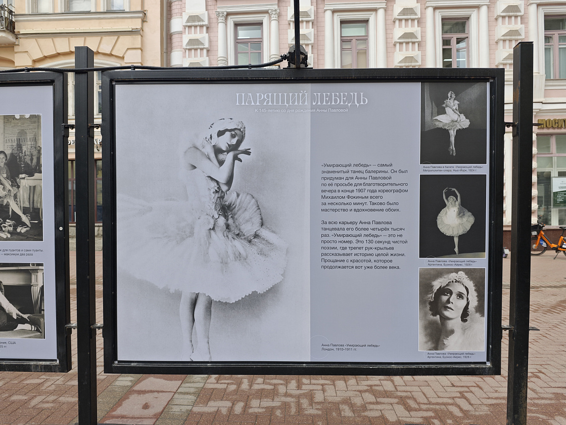Уличная выставка «Парящий лебедь. К 145-летию со дня рождения Анны Павловой»